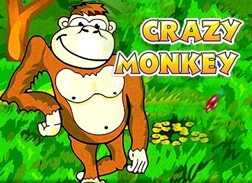 Crazy Monkey 