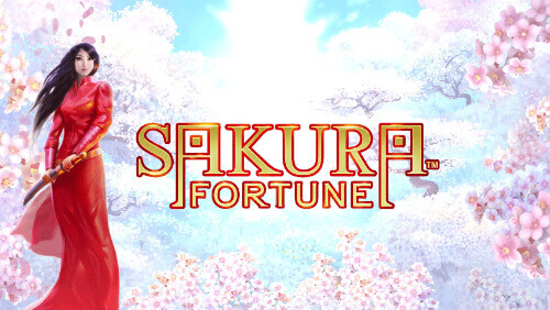 Sakura Fortune